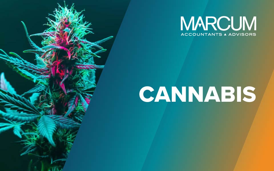Marcum’s Neil Prasad and Martin Martinez discuss the future of tax deductions for the cannabis industry for MJBizDaily